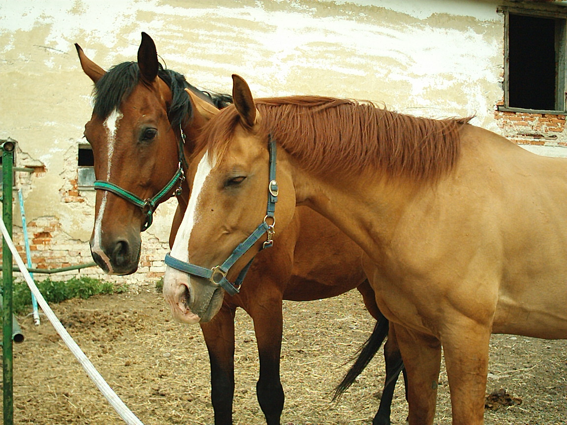 Snímek 097.jpg
