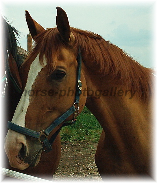 Snímek 095.jpg