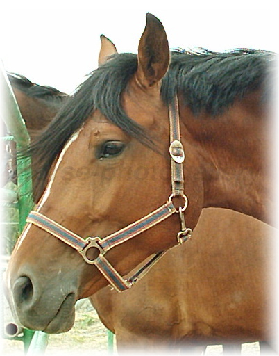 Snímek 108.jpg