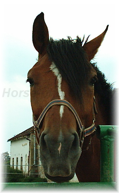 Snímek 110.jpg