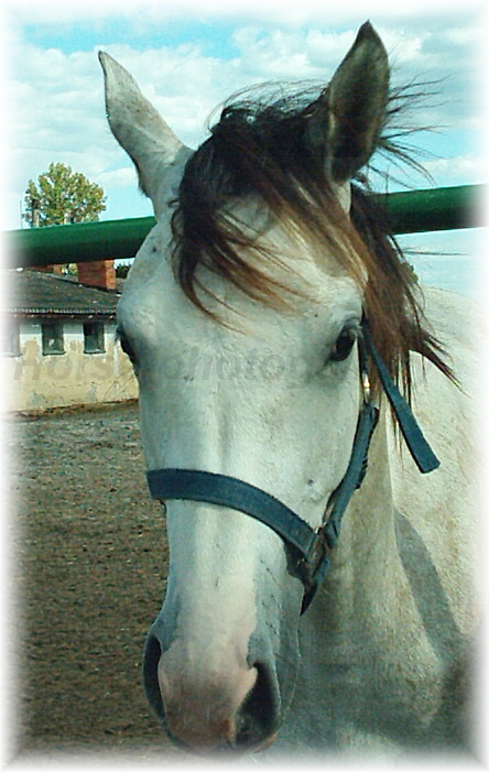 Snímek 010.jpg