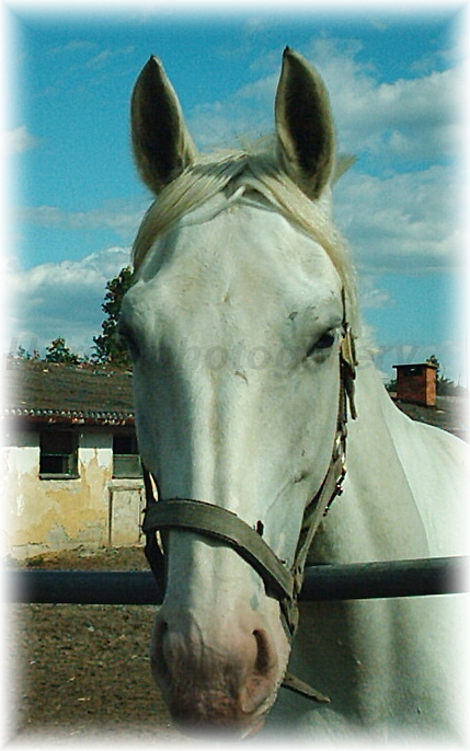 Snímek 014.jpg