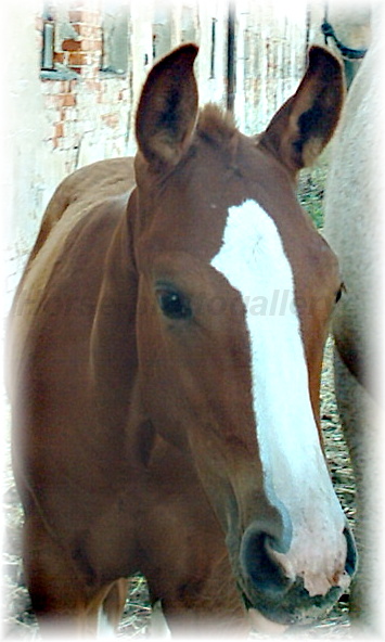 Snímek 001.jpg