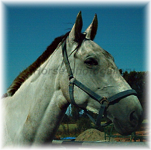 Snímek 008.jpg