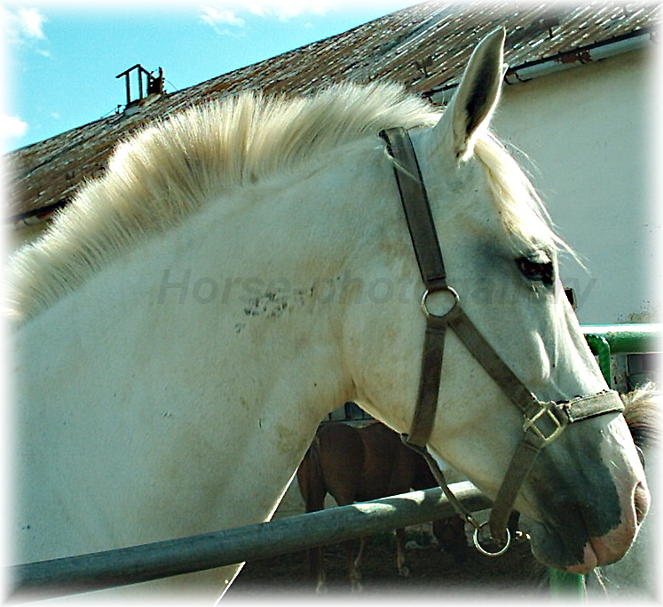 Snímek 012.jpg
