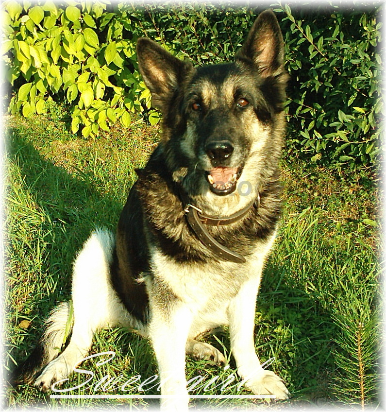 Ašík 013.jpg
