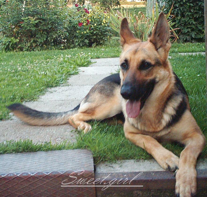 Ašík 048.jpg
